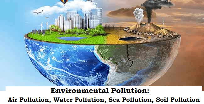 Environmental Pollution 